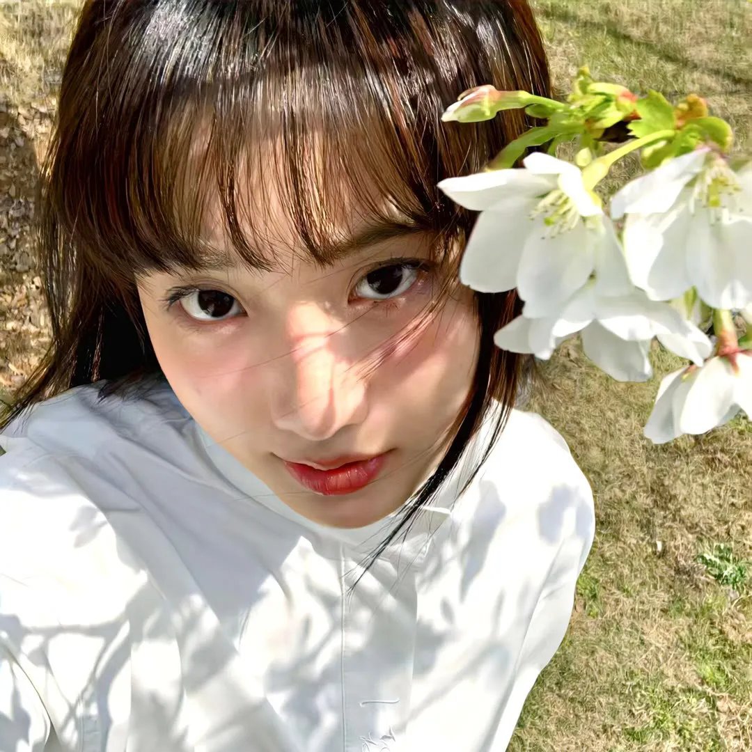 风月无边