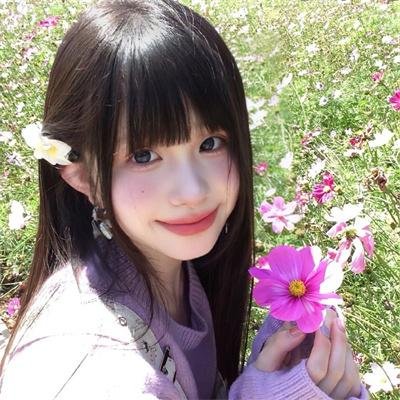 老鸟出招